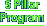The 5 Pillar Program