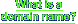 Find out what a Domain Name can do for you!
